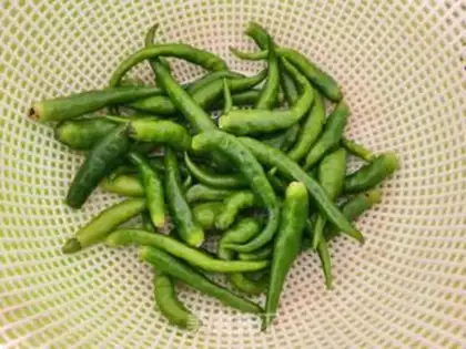 Make Wire peppers, sea ribbons step 1