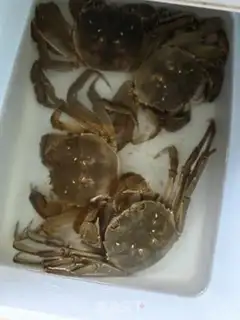 Make Ginger evaporated crabs step 0