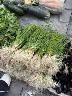 Make No, no, no step 0