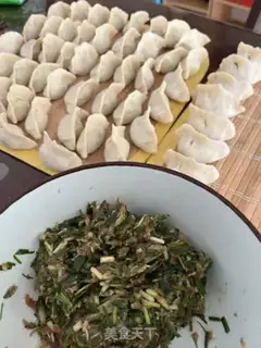 Make No, no, no step 12