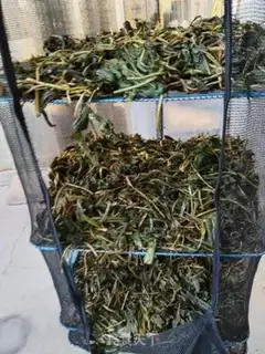 Make Homemade tea step 4