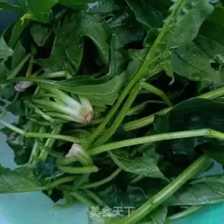 Make Cooking veggie spinach step 0