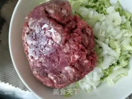 Make Beef pickle dumplings step 0