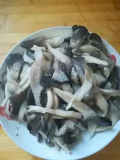 Make Sodium step 3