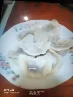 Make Beef pickle dumplings step 15