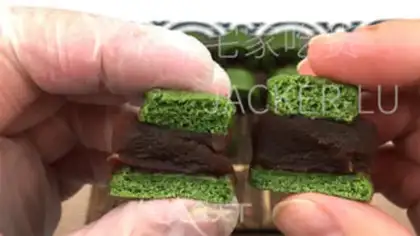Make Mini-duper step 17