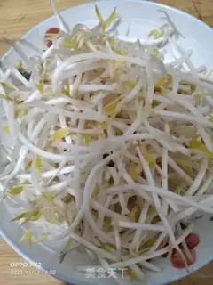 Make Sodium sprouts step 0