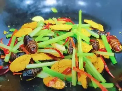 Make Dry ricin step 9