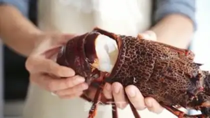 Make A pastry fan step 2