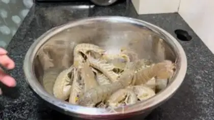 Make Pickle shrimp step 0