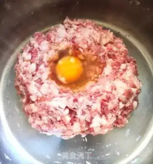 Make The dumplings step 0