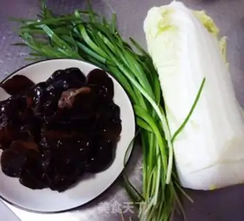 Make Moose and cabbage step 0