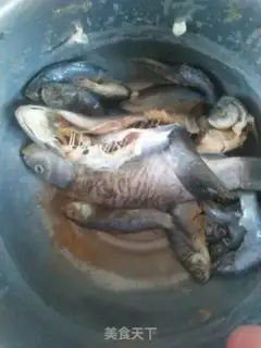 Make Red-burned wildfish step 0