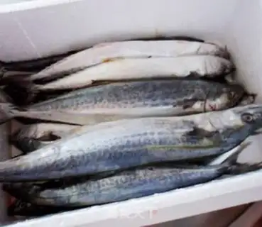 Make Dry-fried mackerel step 0