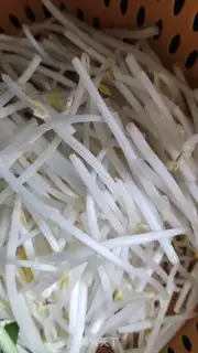 Make Green bean sprouts step 0
