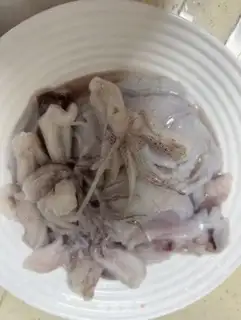 Make Squid step 0