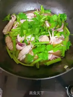 Make Squid step 5