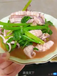 Make Squid step 8