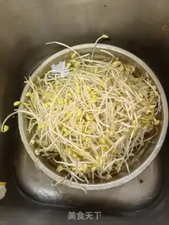 Make Pyramid sprouts step 0