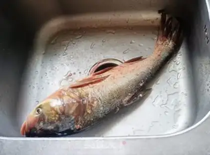 Make Red soup tofu fish head step 0
