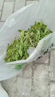 Make Eat step 1