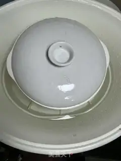 Make A papaya milk swallow nest step 2