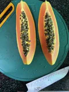 Make A papaya milk swallow nest step 5