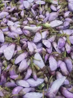 Make Vivine flower step 2