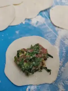 Make The dumplings step 8