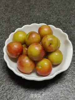 Make Plum pickles step 0