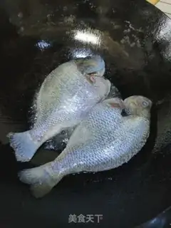 Make Red sunfish step 2