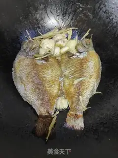 Make Red sunfish step 4