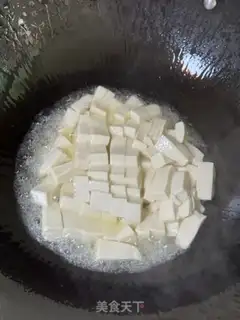 Make Tofu step 5