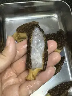 Make Shrimp sprouts sheep belly step 2