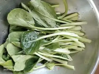 Make Creaming cabbage step 1