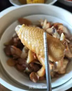 Make Cream of chicken step 8