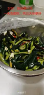 Make Pickle pickles step 6
