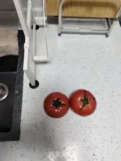 Make Sugar tomatoes step 0