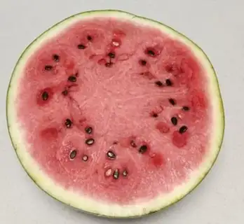 Make Watermelon. Watermelon step 0