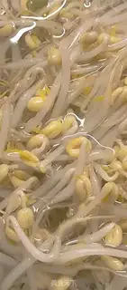 Make Green bean sprouts step 1