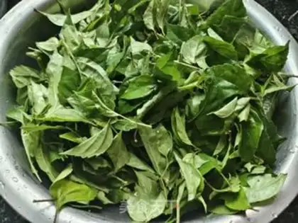 Make Tofu step 4
