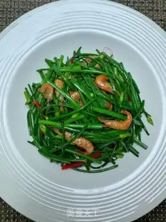 Make Shrimp step 12
