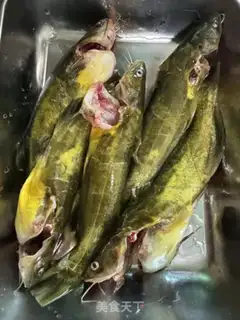 Make The yellowfish step 0