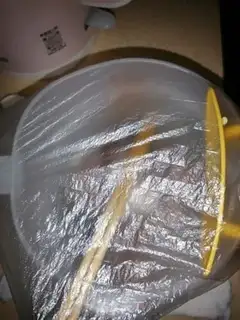 Make Squidfish step 1