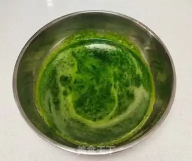 Make A spinach lasagna step 15
