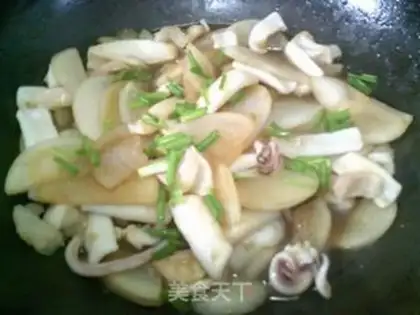 Make Squid step 14