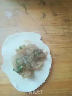 Make Chicken onions step 10