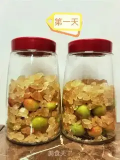 Make Plum yeast step 0