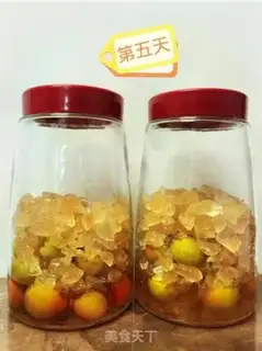 Make Plum yeast step 1