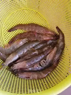 Make Dried shrimp step 2